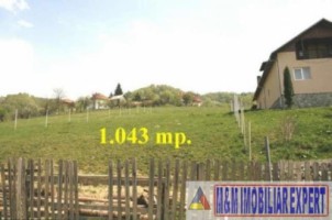 teren-1043-mp-intravilan-rucar-arges-6