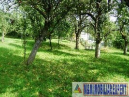 teren-intravilan-de-vanzare-3900-mp-in-apa-sarata-campulung-muscel-arges-ideal-pentru-dezvoltare-rezidentiala-sau-comerciala-4