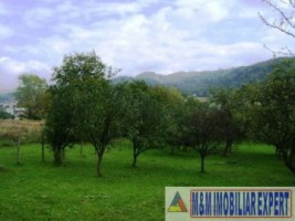 teren-intravilan-de-vanzare-3900-mp-in-apa-sarata-campulung-muscel-arges-ideal-pentru-dezvoltare-rezidentiala-sau-comerciala-5