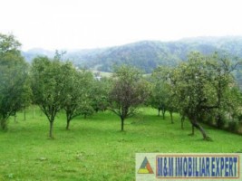 teren-intravilan-de-vanzare-3900-mp-in-apa-sarata-campulung-muscel-arges-ideal-pentru-dezvoltare-rezidentiala-sau-comerciala-6