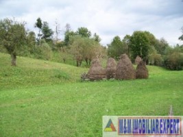 teren-intravilan-6000-mp-de-vanzare-in-albestii-de-muscel-candesti-oportunitate-pentru-dezvoltare-rezidentiala-5