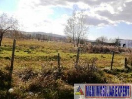 teren-intravilan-de-vanzare-15-ha-pe-calea-pietroasa-campulung-muscel-arges-ideal-pentru-dezvoltare-rezidentiala-sau-investitie