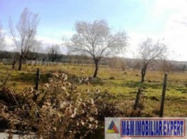 teren-intravilan-de-vanzare-15-ha-pe-calea-pietroasa-campulung-muscel-arges-ideal-pentru-dezvoltare-rezidentiala-sau-investitie-1