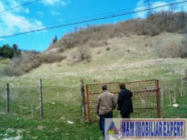 teren-intravilan-de-vanzare-12-ha-in-valea-romanestilor-campulung-muscel-arges-ideal-pentru-dezvoltare-rezidentiala