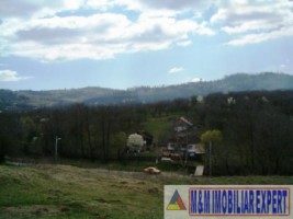 teren-intravilan-de-vanzare-12-ha-in-valea-romanestilor-campulung-muscel-arges-ideal-pentru-dezvoltare-rezidentiala-5