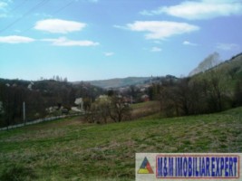 teren-12-ha-intravilan-campulung-muscel-arges-7