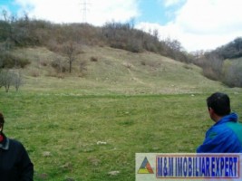 teren-intravilan-de-vanzare-12-ha-in-valea-romanestilor-campulung-muscel-arges-ideal-pentru-dezvoltare-rezidentiala-10