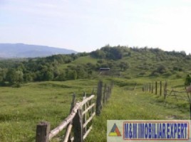 teren-de-vanzare-1-ha-extravilan-pasune-in-calea-targovistei-campulung-muscel-arges-ideal-pentru-agricultura