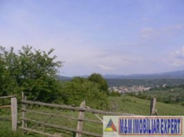 teren-de-vanzare-1-ha-extravilan-pasune-in-calea-targovistei-campulung-muscel-arges-ideal-pentru-agricultura-1