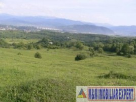 teren-de-vanzare-1-ha-extravilan-pasune-in-calea-targovistei-campulung-muscel-arges-ideal-pentru-agricultura-6