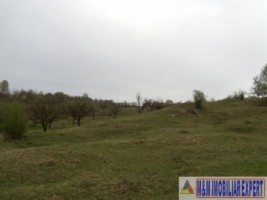 teren-de-vanzare-1-ha-extravilan-pasune-in-calea-targovistei-campulung-muscel-arges-ideal-pentru-agricultura-8