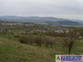 teren-de-vanzare-1-ha-extravilan-pasune-in-calea-targovistei-campulung-muscel-arges-ideal-pentru-agricultura-10