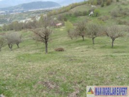 teren-de-vanzare-1-ha-extravilan-pasune-in-calea-targovistei-campulung-muscel-arges-ideal-pentru-agricultura-11