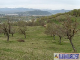 teren-de-vanzare-1-ha-extravilan-pasune-in-calea-targovistei-campulung-muscel-arges-ideal-pentru-agricultura-12