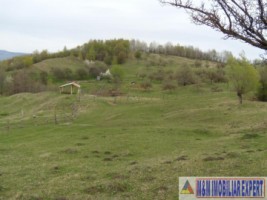 teren-de-vanzare-1-ha-extravilan-pasune-in-calea-targovistei-campulung-muscel-arges-ideal-pentru-agricultura-15