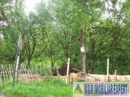 teren-intravilan-de-vanzare-2136-mp-pe-calea-targovistei-campulung-muscel-arges-ideal-pentru-constructii-rezidentiale-sau-comerciale