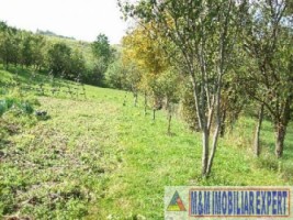 teren-intravilan-3710-mp-de-vanzare-pe-calea-targovistei-in-campulung-muscel-arges-oportunitate-pentru-constructii-rezidentiale-3