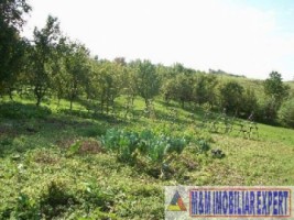 teren-intravilan-3710-mp-de-vanzare-pe-calea-targovistei-in-campulung-muscel-arges-oportunitate-pentru-constructii-rezidentiale-4