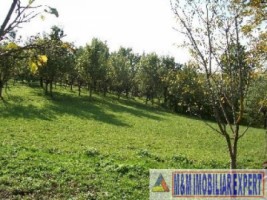 teren-intravilan-3710-mp-de-vanzare-pe-calea-targovistei-in-campulung-muscel-arges-oportunitate-pentru-constructii-rezidentiale-6