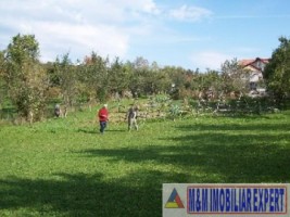 teren-intravilan-3710-mp-de-vanzare-pe-calea-targovistei-in-campulung-muscel-arges-oportunitate-pentru-constructii-rezidentiale-7