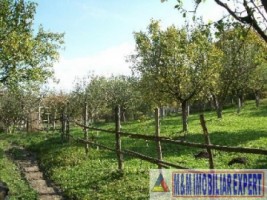 teren-intravilan-3710-mp-de-vanzare-pe-calea-targovistei-in-campulung-muscel-arges-oportunitate-pentru-constructii-rezidentiale-9