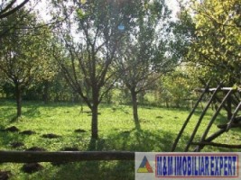 teren-intravilan-3710-mp-de-vanzare-pe-calea-targovistei-in-campulung-muscel-arges-oportunitate-pentru-constructii-rezidentiale-8