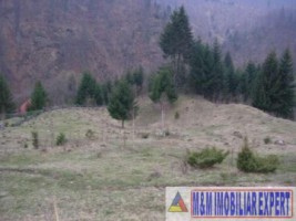 teren-intravilan-de-2000-mp-de-vanzare-in-valea-cheii-dambovicioara-arges-ideal-pentru-proiecte-turistice-si-rezidentiale