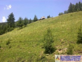 teren-intravilan-de-2000-mp-de-vanzare-in-valea-cheii-dambovicioara-arges-ideal-pentru-proiecte-turistice-si-rezidentiale-1