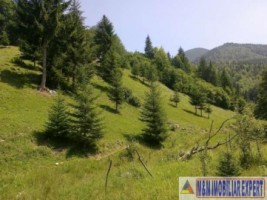 teren-intravilan-de-2000-mp-de-vanzare-in-valea-cheii-dambovicioara-arges-ideal-pentru-proiecte-turistice-si-rezidentiale-2