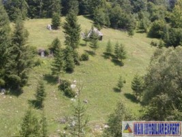 teren-intravilan-de-2000-mp-de-vanzare-in-valea-cheii-dambovicioara-arges-ideal-pentru-proiecte-turistice-si-rezidentiale-4