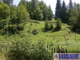 teren-intravilan-de-2000-mp-de-vanzare-in-valea-cheii-dambovicioara-arges-ideal-pentru-proiecte-turistice-si-rezidentiale-5