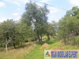 teren-de-vanzare-7000-mp-extravilan-in-valea-barbusii-campulung-muscel-arges-ideal-pentru-agricultura-si-investitie