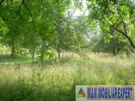 teren-de-vanzare-7000-mp-extravilan-in-valea-barbusii-campulung-muscel-arges-ideal-pentru-agricultura-si-investitie-1