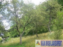 teren-de-vanzare-7000-mp-extravilan-in-valea-barbusii-campulung-muscel-arges-ideal-pentru-agricultura-si-investitie-3