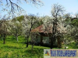 casa-6-camere-teren-2-ha-de-vanzare-in-boteni-arges-ideala-pentru-locuinta-rurala-9