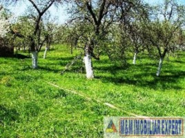 casa-6-camere-teren-2-ha-de-vanzare-in-boteni-arges-ideala-pentru-locuinta-rurala-11