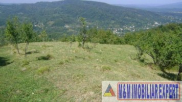 teren-3200-mp-de-vanzare-intravilan-in-marcus-campulung-muscel-arges-deal-pentru-constructii-rezidentiale-sau-investitie-imobiliara