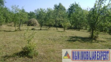 teren-3200-mp-de-vanzare-intravilan-in-marcus-campulung-muscel-arges-deal-pentru-constructii-rezidentiale-sau-investitie-imobiliara-1