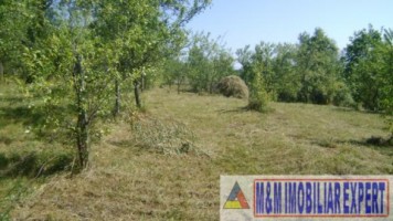 teren-3200-mp-de-vanzare-intravilan-in-marcus-campulung-muscel-arges-deal-pentru-constructii-rezidentiale-sau-investitie-imobiliara-2