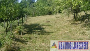 teren-3200-mp-de-vanzare-intravilan-in-marcus-campulung-muscel-arges-deal-pentru-constructii-rezidentiale-sau-investitie-imobiliara-3