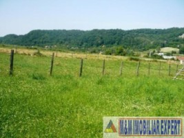 teren-intravilan-2300-mp-de-vanzare-in-valea-barbusii-campulung-muscel-arges-ideal-pentru-constructii-rezidentiale-1