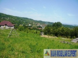 teren-intravilan-2300-mp-de-vanzare-in-valea-barbusii-campulung-muscel-arges-ideal-pentru-constructii-rezidentiale-3