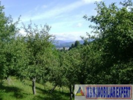 teren-intravilan-5000-mp-de-vanzare-in-valea-barbusii-campulung-muscel-arges-ideal-pentru-dezvoltari-rezidentiale