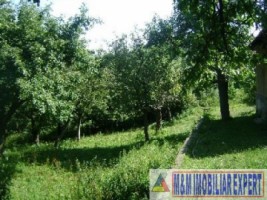 teren-intravilan-5000-mp-de-vanzare-in-valea-barbusii-campulung-muscel-arges-ideal-pentru-dezvoltari-rezidentiale-3