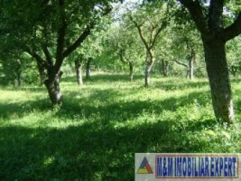 teren-intravilan-5000-mp-de-vanzare-in-valea-barbusii-campulung-muscel-arges-ideal-pentru-dezvoltari-rezidentiale-4