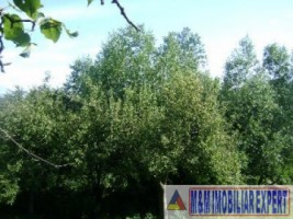 teren-intravilan-5000-mp-de-vanzare-in-valea-barbusii-campulung-muscel-arges-ideal-pentru-dezvoltari-rezidentiale-5