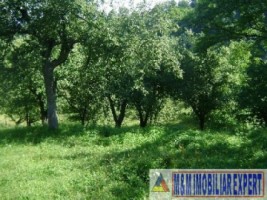 teren-intravilan-5000-mp-de-vanzare-in-valea-barbusii-campulung-muscel-arges-ideal-pentru-dezvoltari-rezidentiale-6