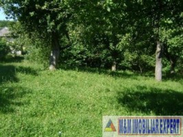 teren-intravilan-5000-mp-de-vanzare-in-valea-barbusii-campulung-muscel-arges-ideal-pentru-dezvoltari-rezidentiale-7