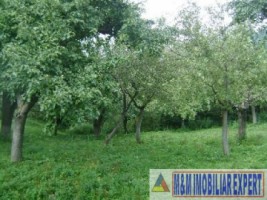 teren-intravilan-5000-mp-de-vanzare-in-valea-barbusii-campulung-muscel-arges-ideal-pentru-dezvoltari-rezidentiale-8