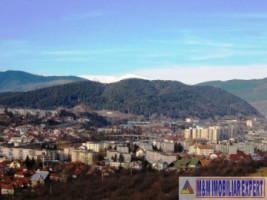 teren-de-vanzare-1-ha-extravilan-in-cretisoara-campulung-muscel-arges-ideal-pentru-agricultura-si-investitie